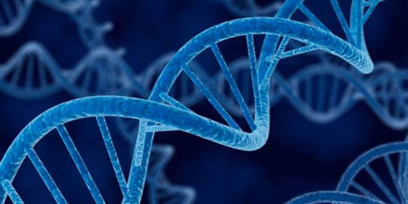 DNA e O Livro de Mórmon - Separando Mito e Realidade