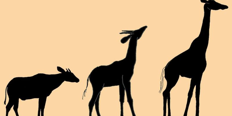 Evolução das Espécies e as Escrituras